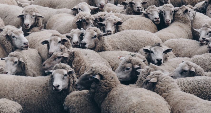 Will COVID-19 be the bias interrupter we need so badly in hiring?   